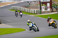enduro-digital-images;event-digital-images;eventdigitalimages;mallory-park;mallory-park-photographs;mallory-park-trackday;mallory-park-trackday-photographs;no-limits-trackdays;peter-wileman-photography;racing-digital-images;trackday-digital-images;trackday-photos
